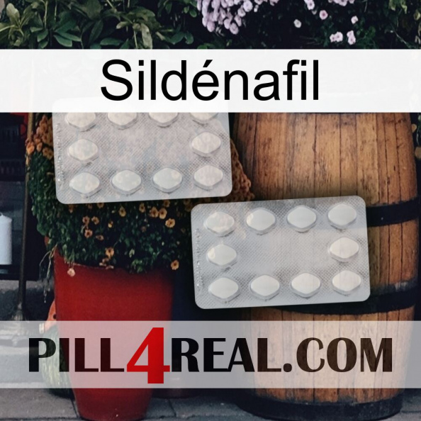 Sildénafil 17
